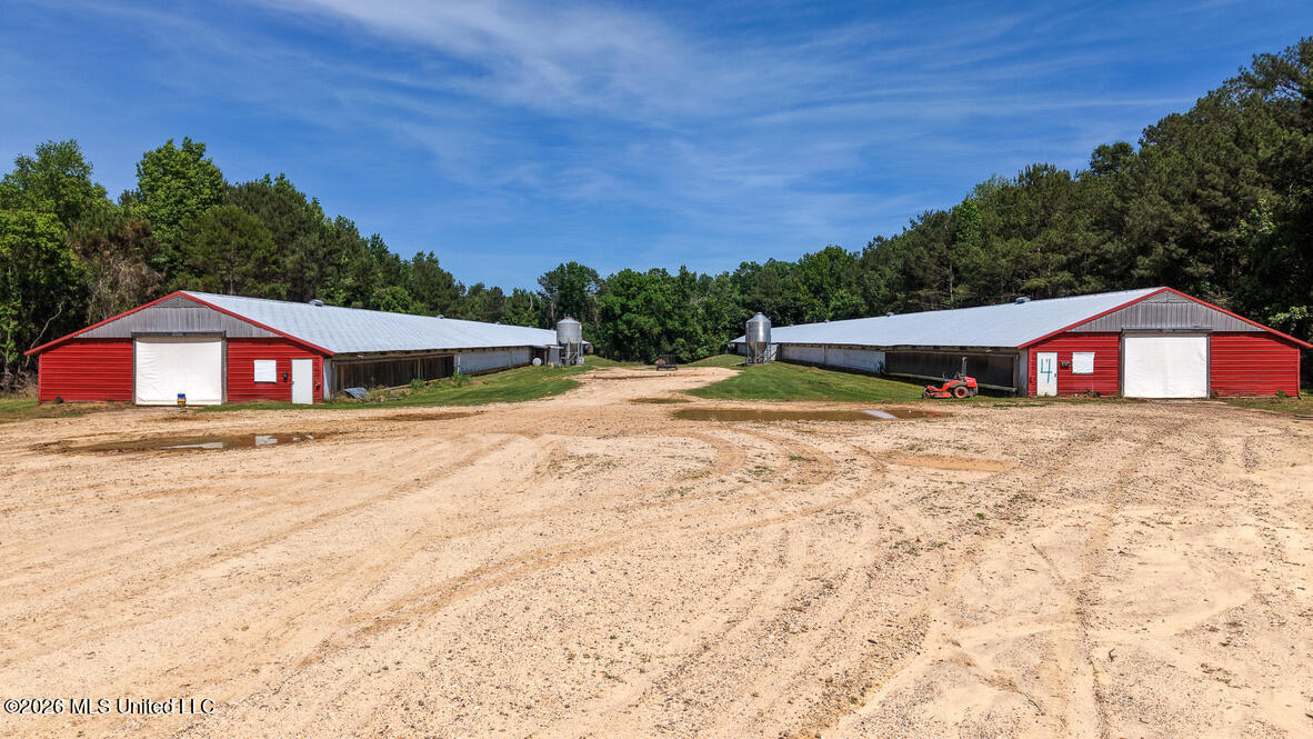 Smithtown Chicora Road State Line, MS 39362 - Photo 10 of 38 E9CD8571-3B28-46B0-B60C-3F7FF282A7AB_1_1