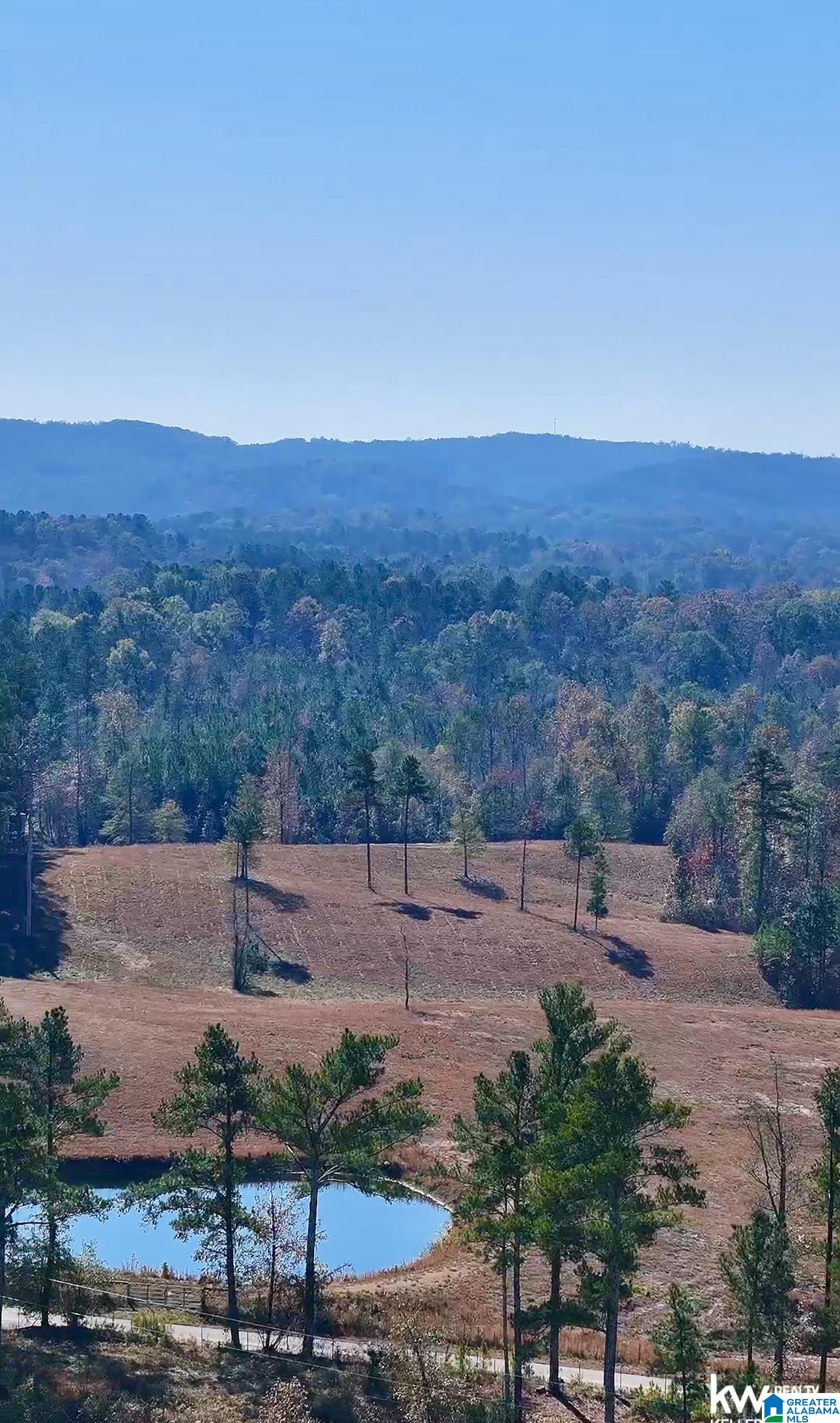 0 Gilberts Ferry Road Ohatchee, AL 36271 - Photo 7 of 11