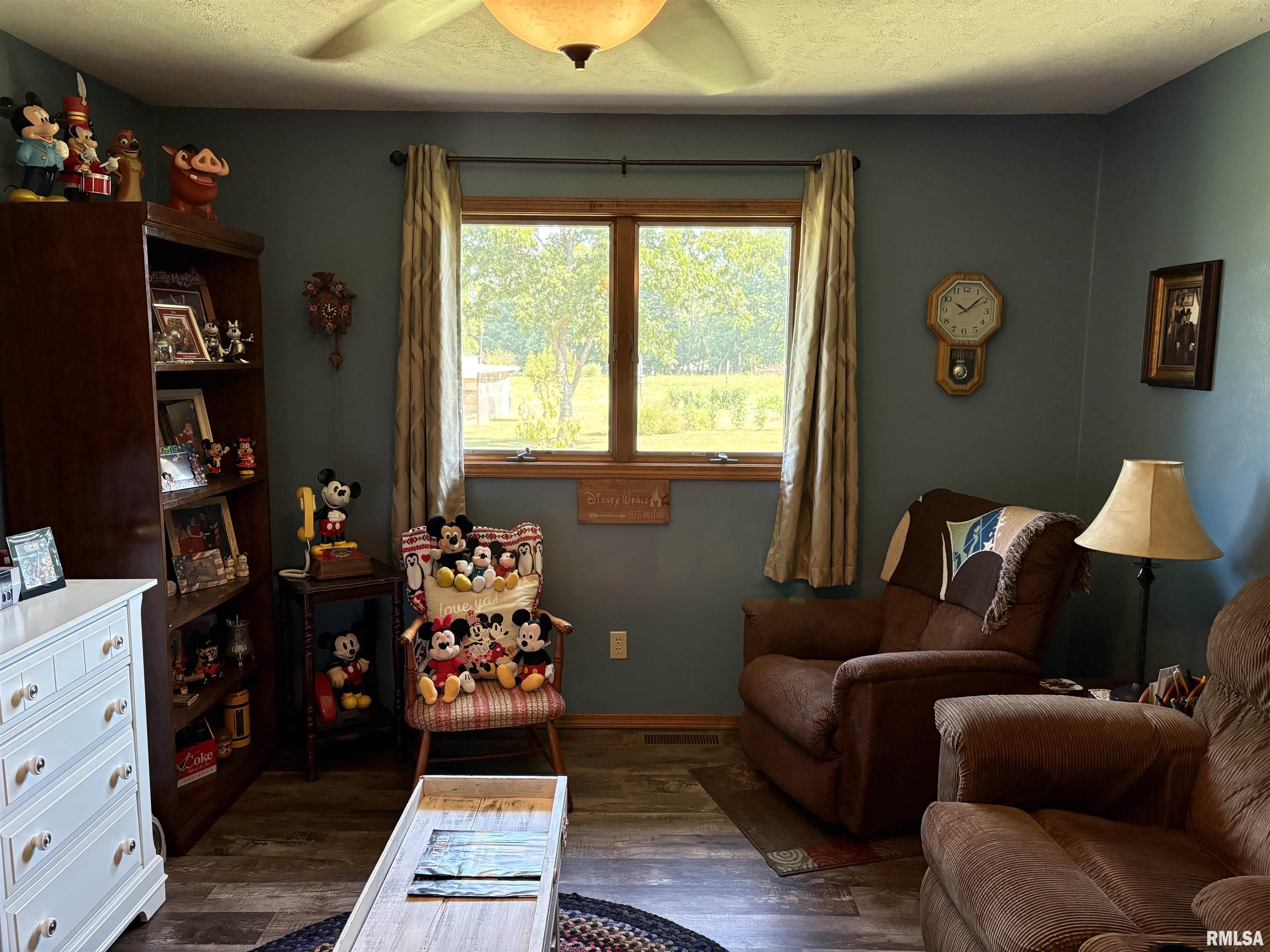 605 West George Street Ava, IL 62907 - Photo 19 of 64