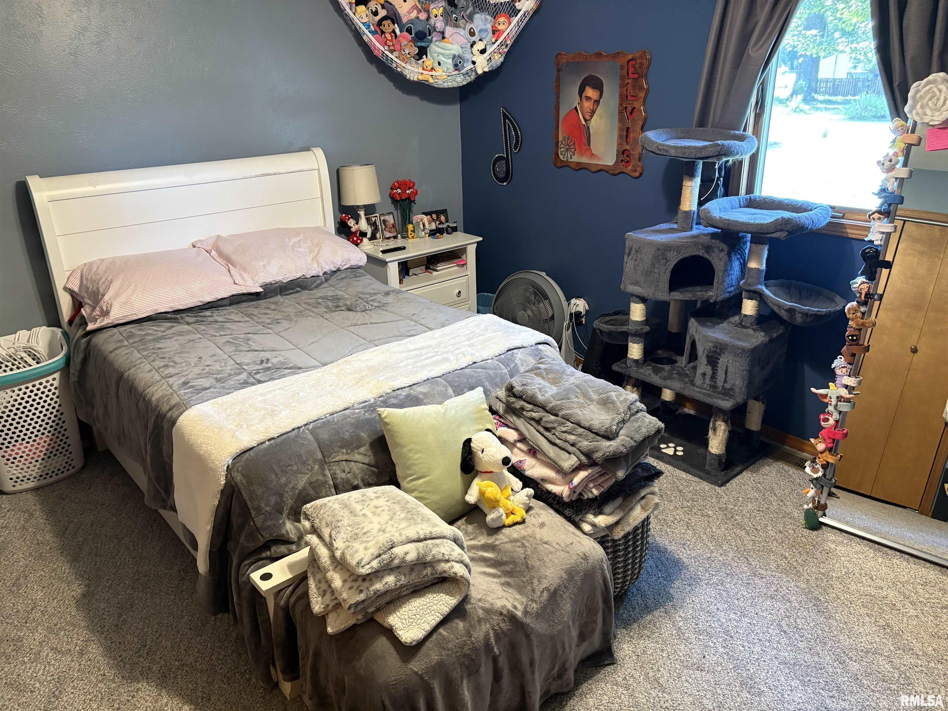 605 West George Street Ava, IL 62907 - Photo 28 of 64