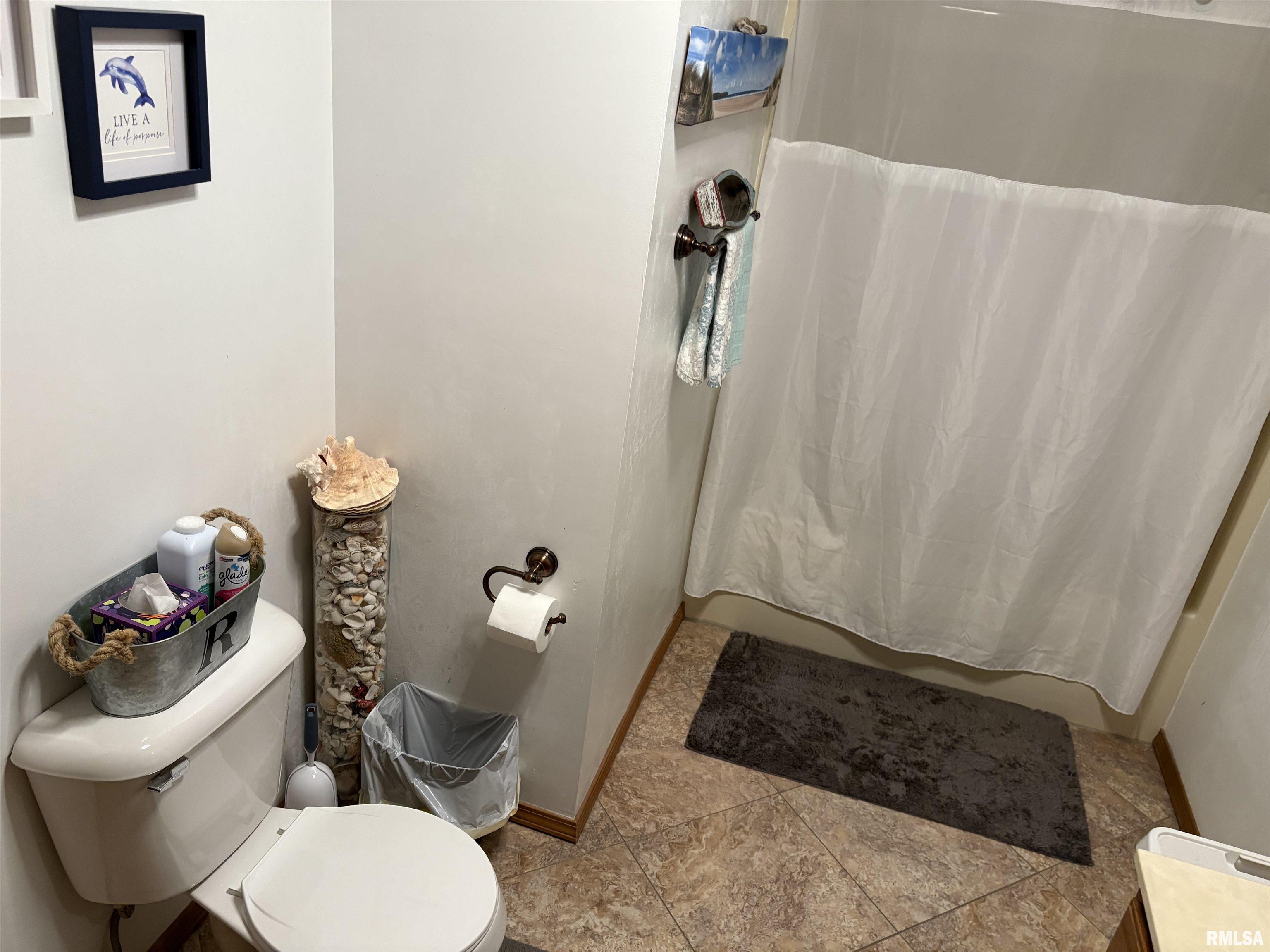 605 West George Street Ava, IL 62907 - Photo 32 of 64