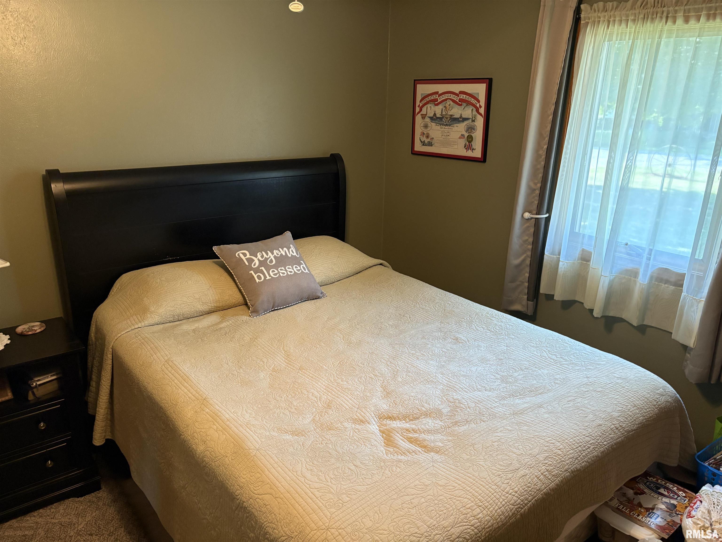 605 West George Street Ava, IL 62907 - Photo 35 of 64