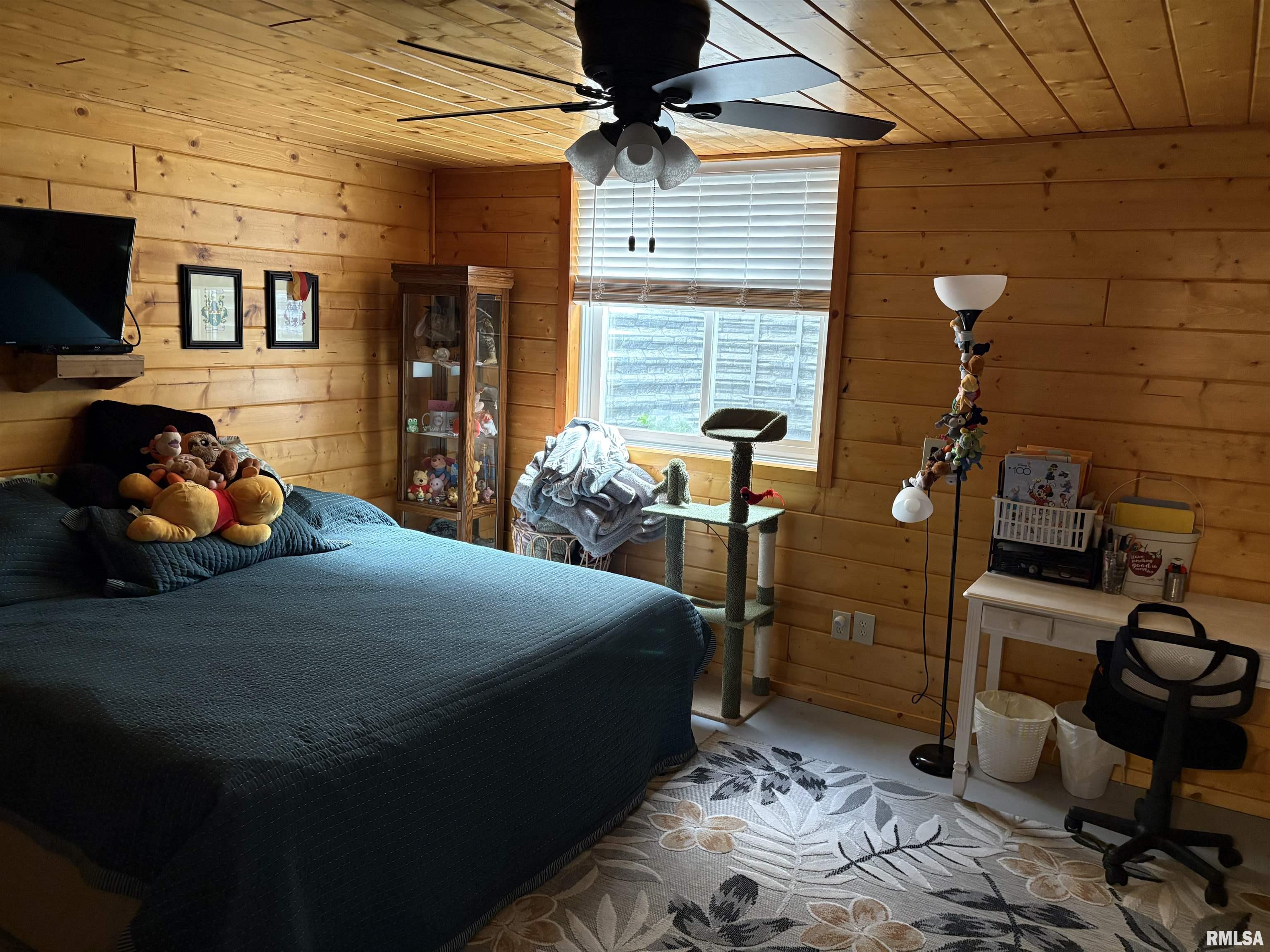 605 West George Street Ava, IL 62907 - Photo 49 of 64