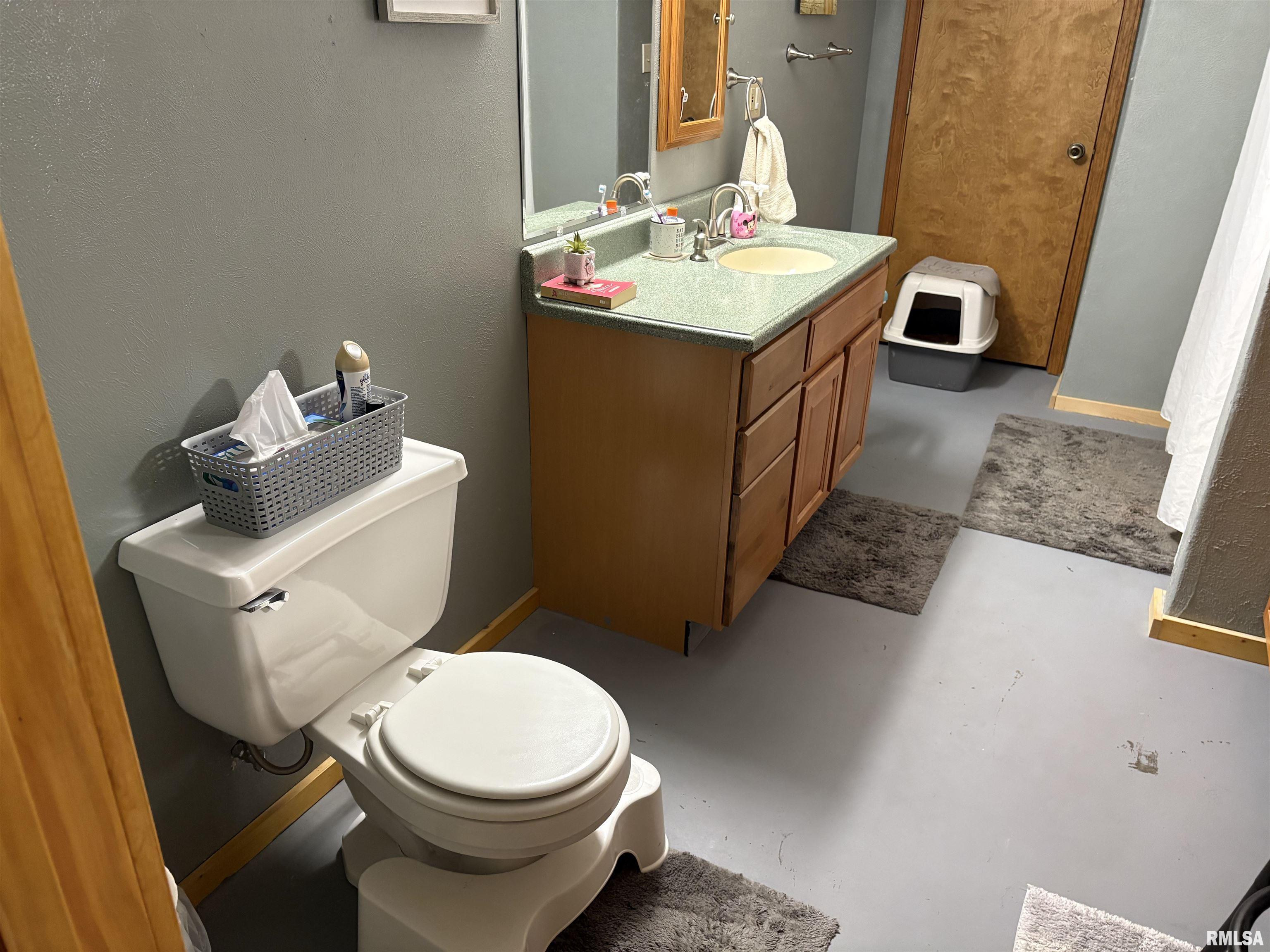 605 West George Street Ava, IL 62907 - Photo 51 of 64