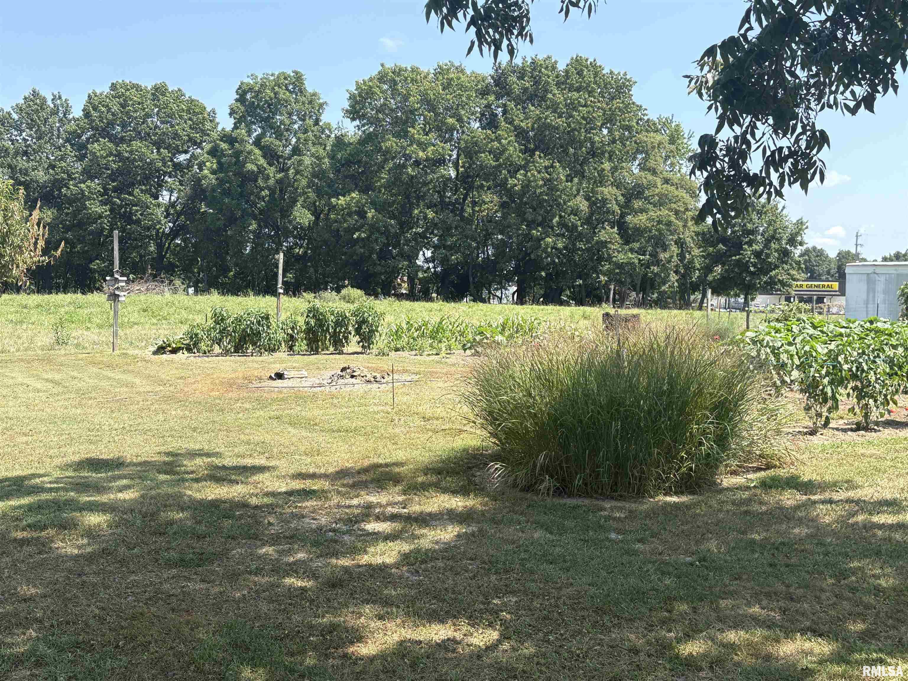 605 West George Street Ava, IL 62907 - Photo 58 of 64