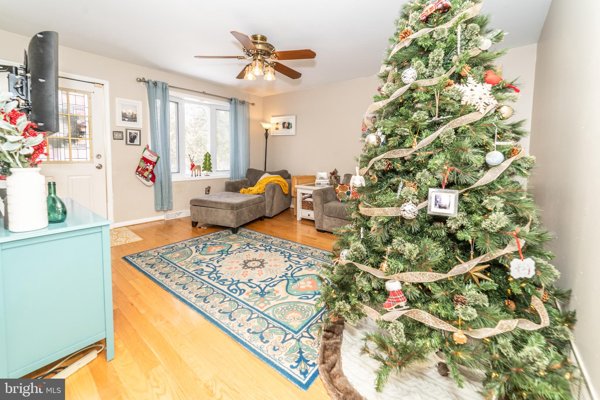 811 Pine Road Wallingford, PA 19086 - Photo 6 of 41 a living room with a couch and a potted plant