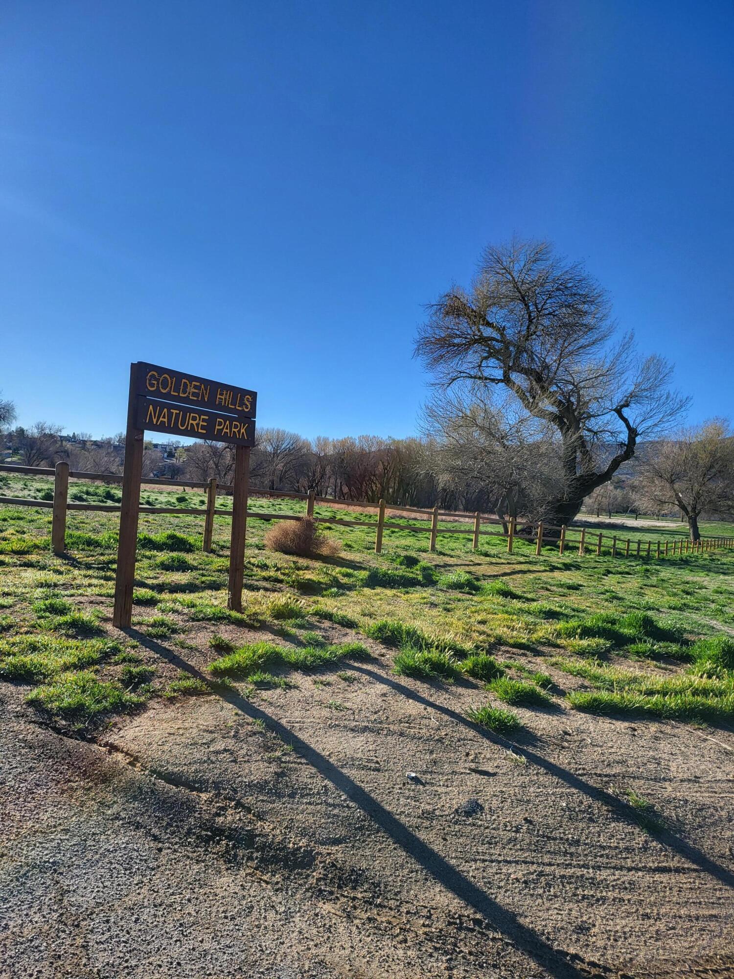22500 Mariposa Road Tehachapi, CA 93561 - Photo 8 of 8 a green field with lots of green bushes