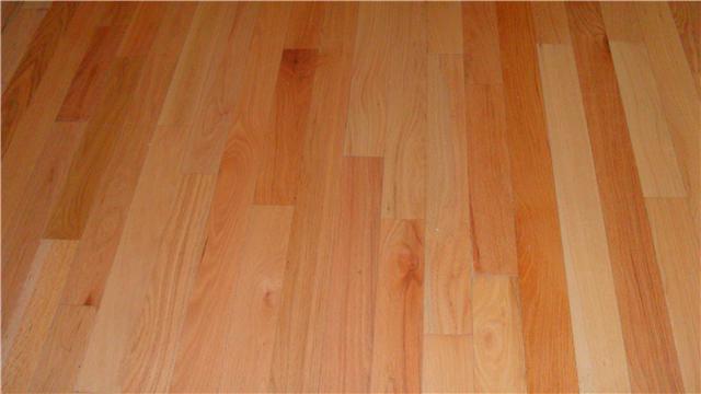 1 Ingram Road Leoma, TN 38468 - Photo 7 of 20 Gallery Image 7