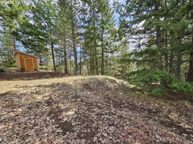 $325,000 | 272 Johnson Road, Lyle, WA 98635