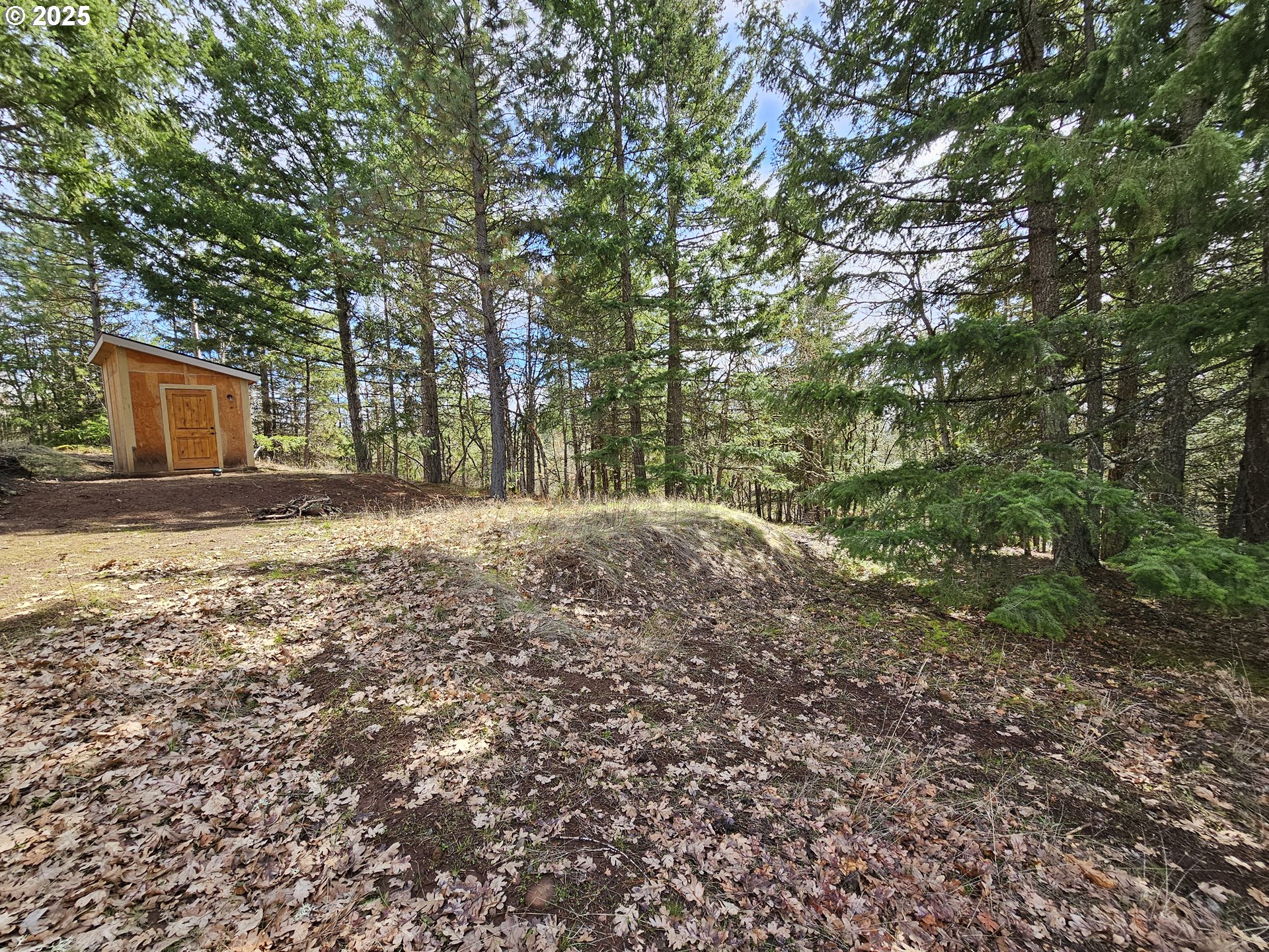 272 Johnson Road Lyle, WA 98635 - Photo 19 of 36