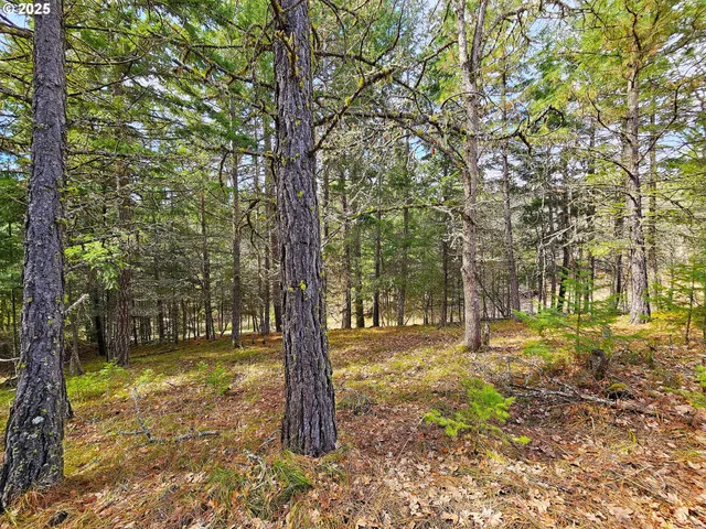 $325,000 | 272 Johnson Road, Lyle, WA 98635