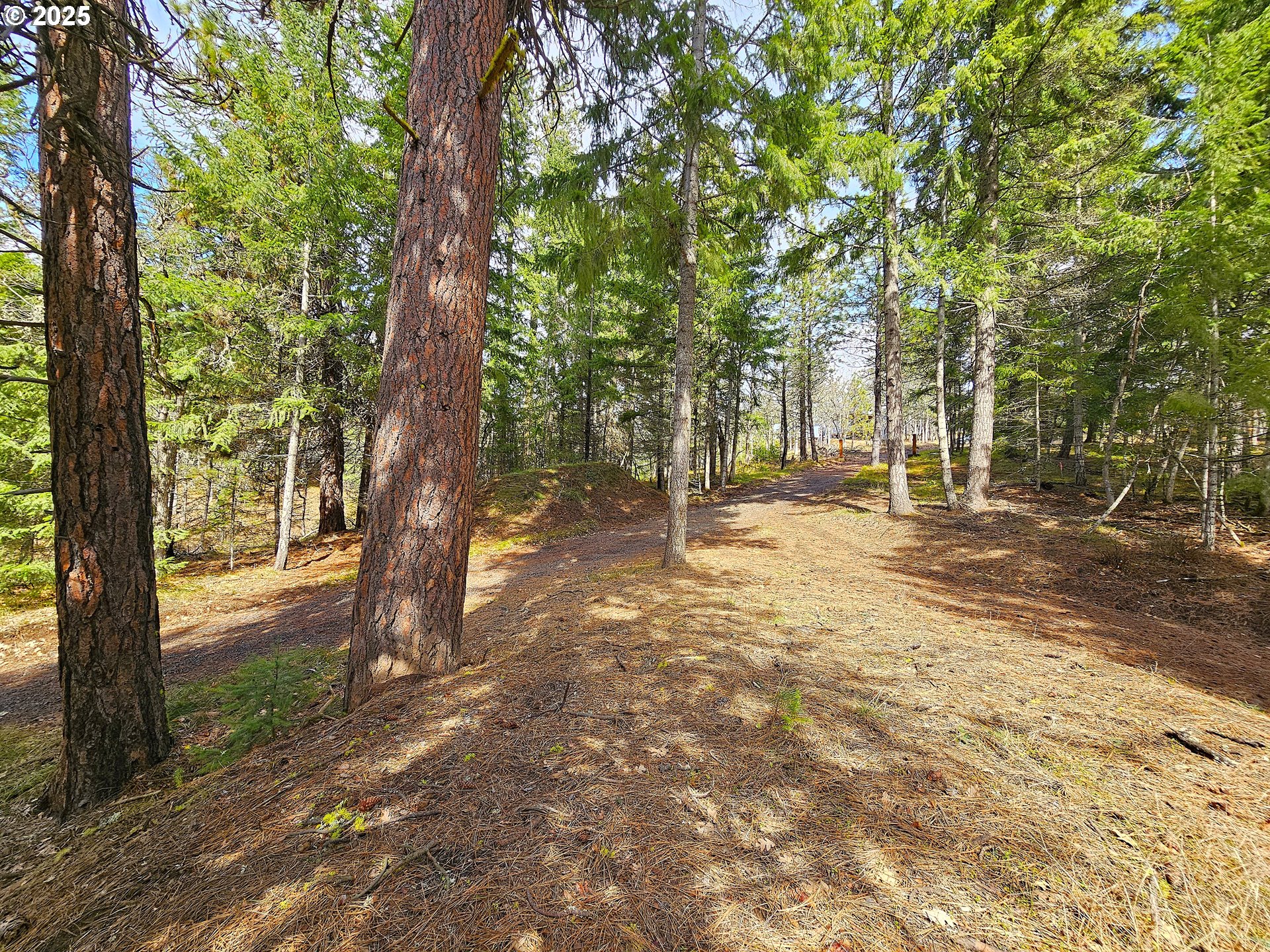 272 Johnson Road Lyle, WA 98635 - Photo 26 of 36