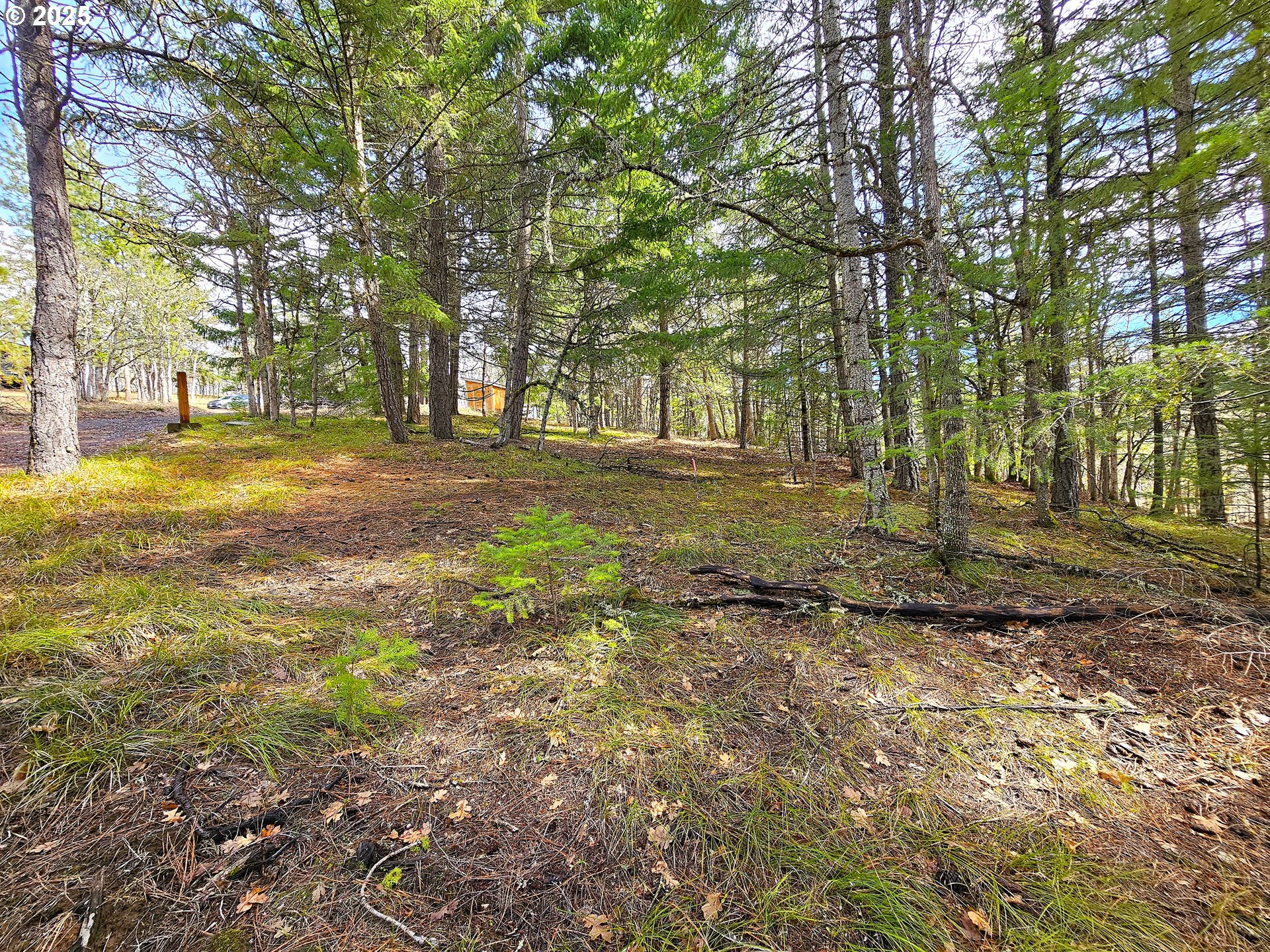 272 Johnson Road Lyle, WA 98635 - Photo 27 of 36