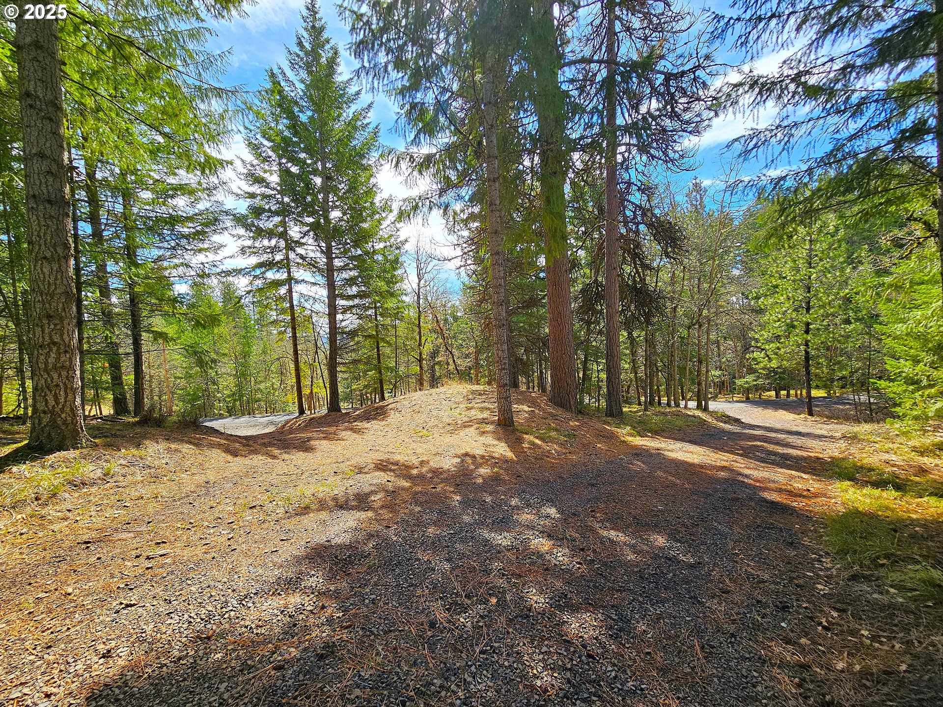 272 Johnson Road Lyle, WA 98635 - Photo 29 of 36