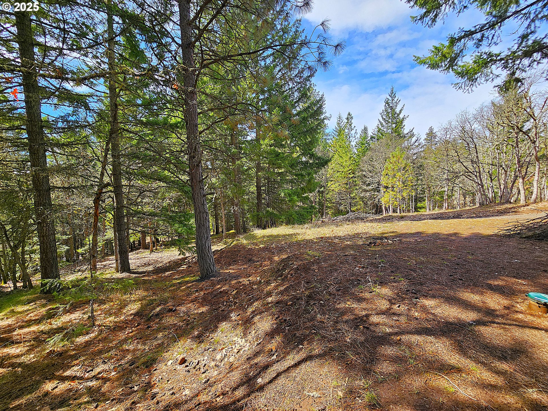 272 Johnson Road Lyle, WA 98635 - Photo 30 of 36