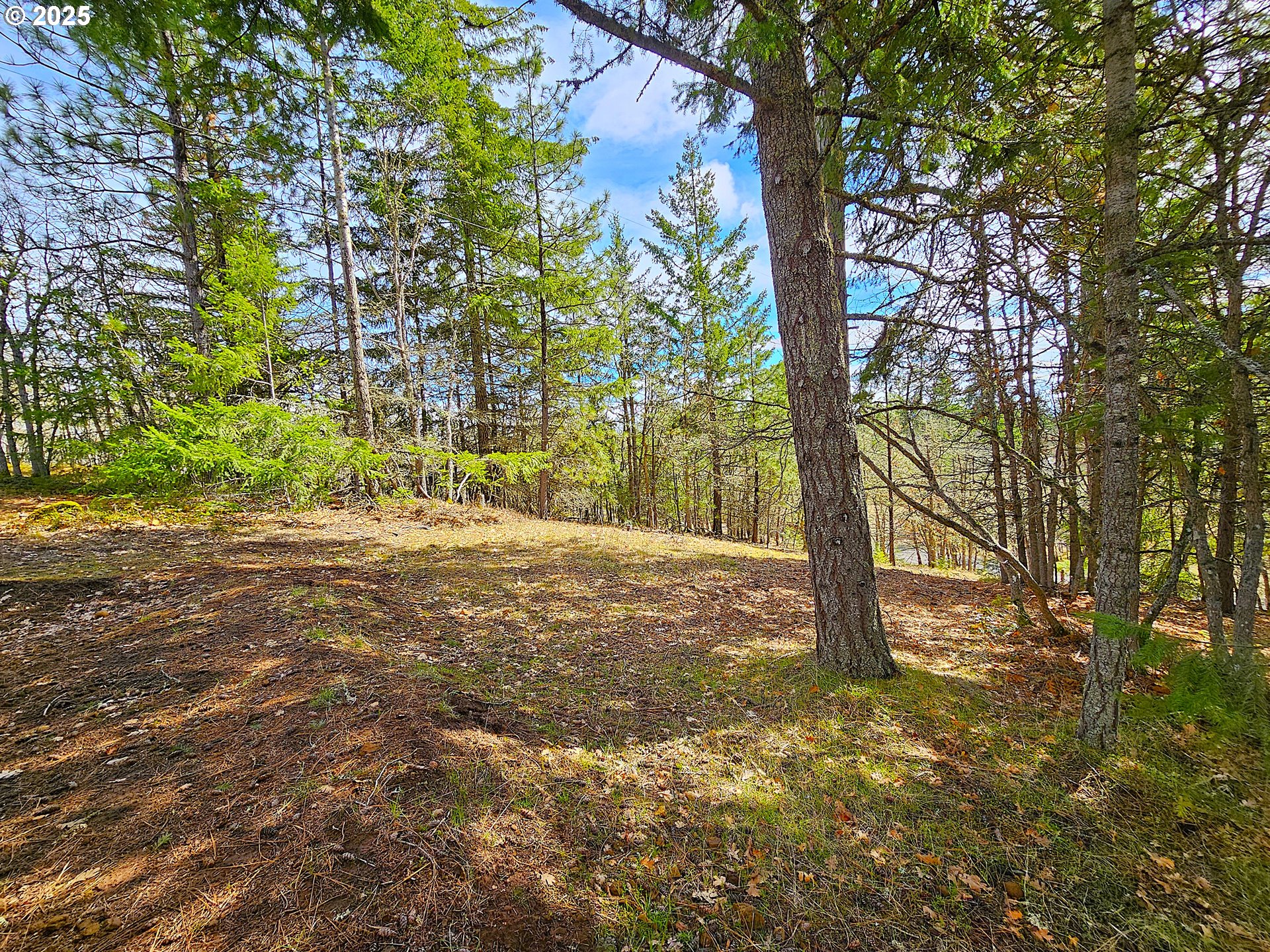 272 Johnson Road Lyle, WA 98635 - Photo 31 of 36