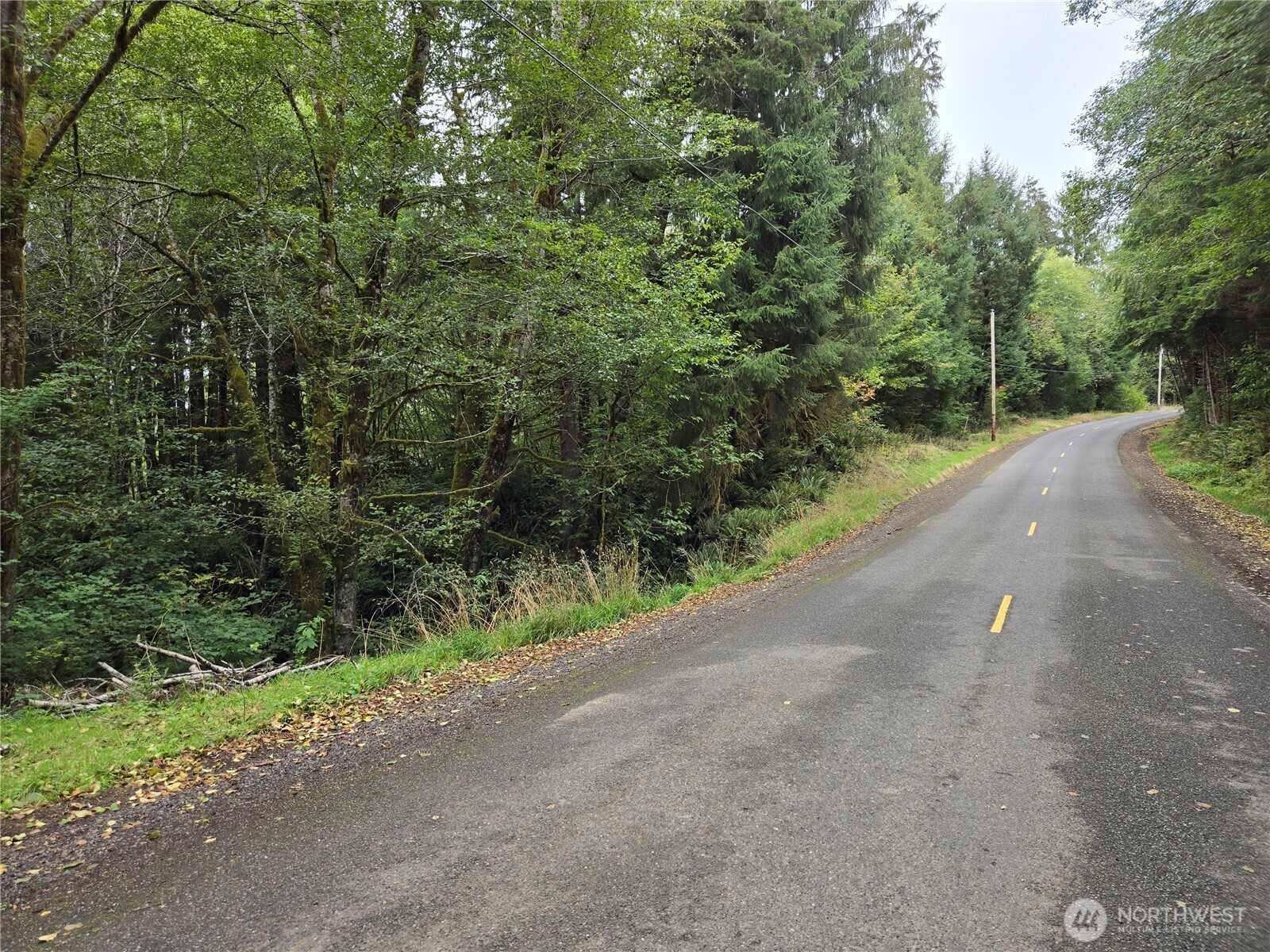 -nka Lund Road Cosmopolis, WA 98537 - Photo 2 of 7