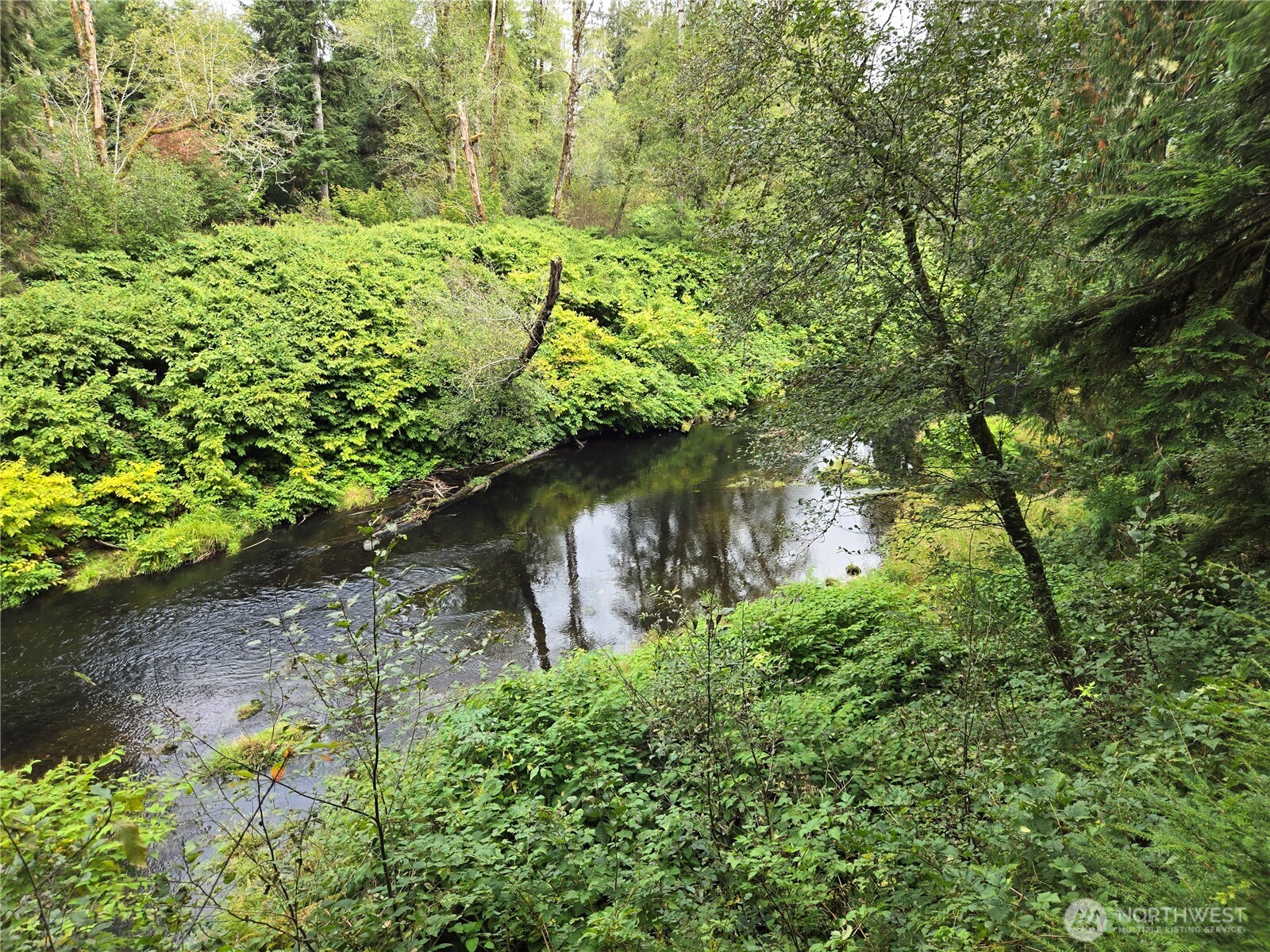 -nka Lund Road Cosmopolis, WA 98537 - Photo 6 of 7