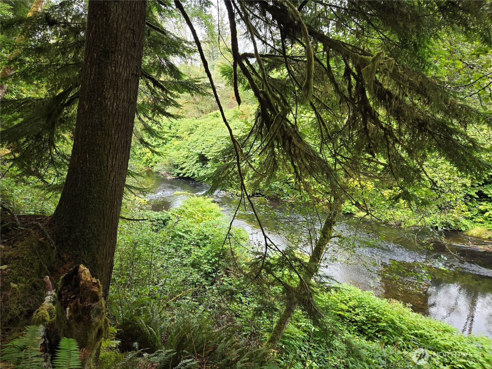 -nka Lund Road Cosmopolis, WA 98537 - Photo 7 of 7