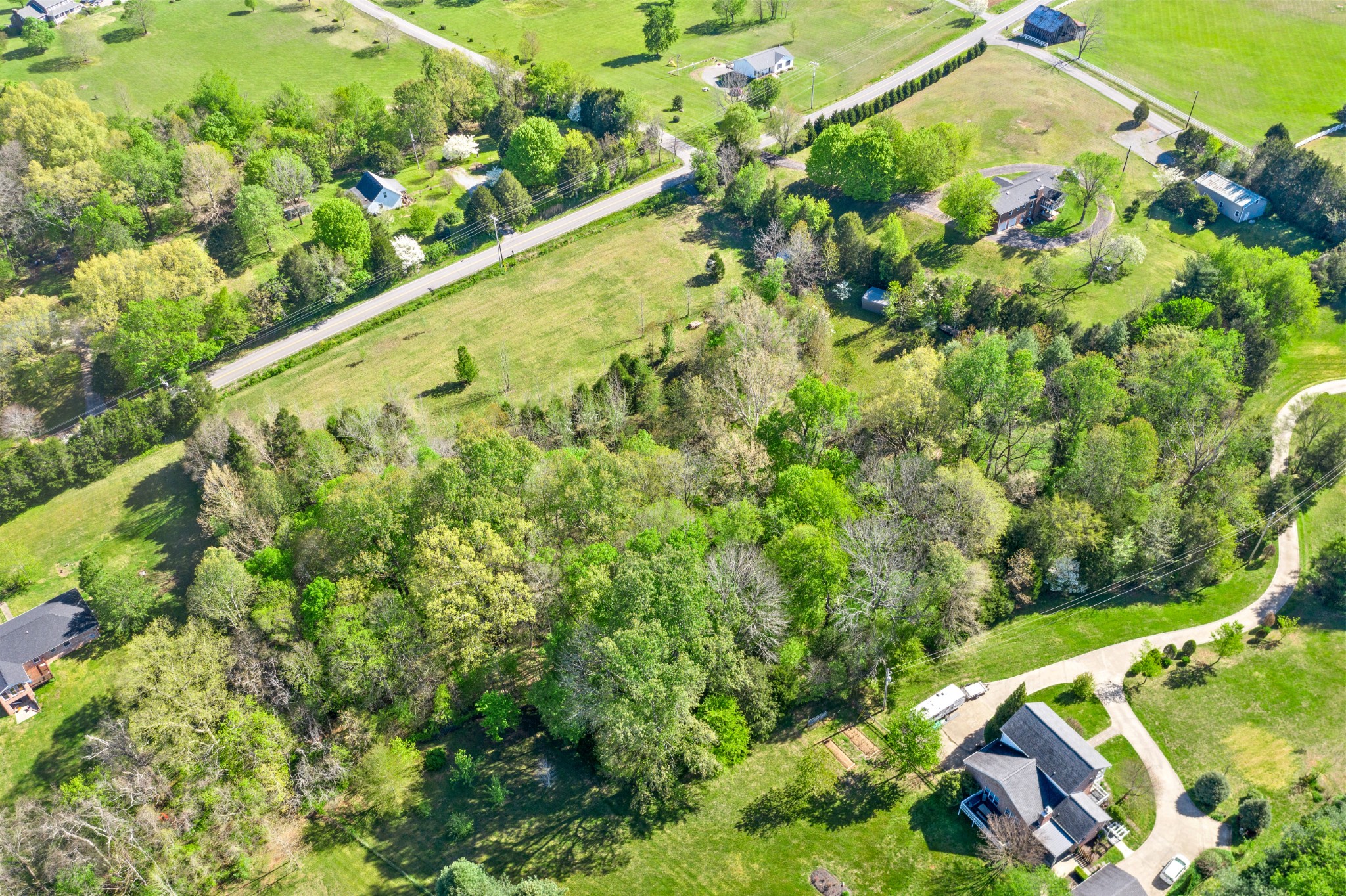 0 Trough Springs Road Adams, TN 37010 - Photo 11 of 16 Gallery Image 11