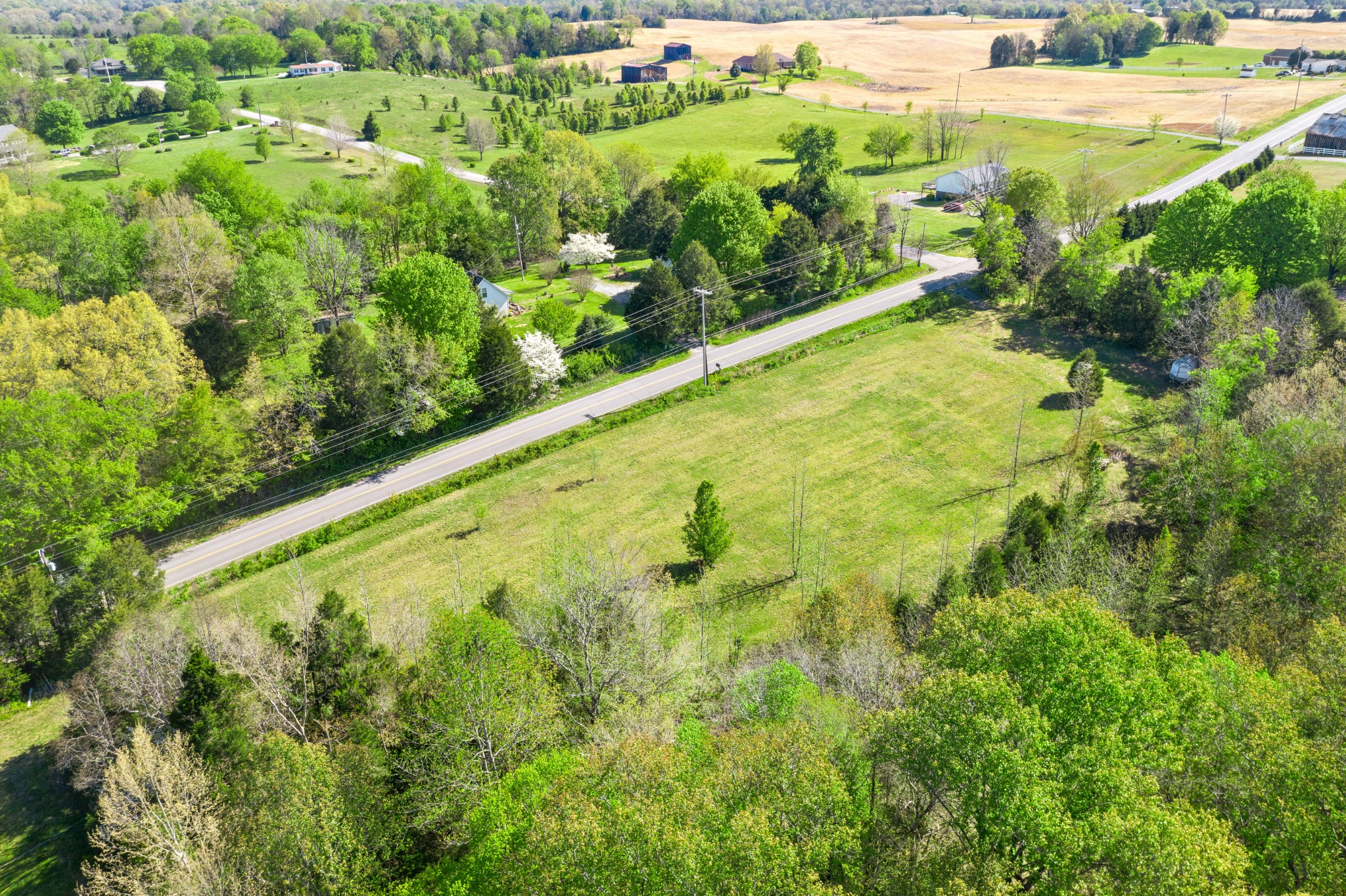 0 Trough Springs Road Adams, TN 37010 - Photo 12 of 16 Gallery Image 12