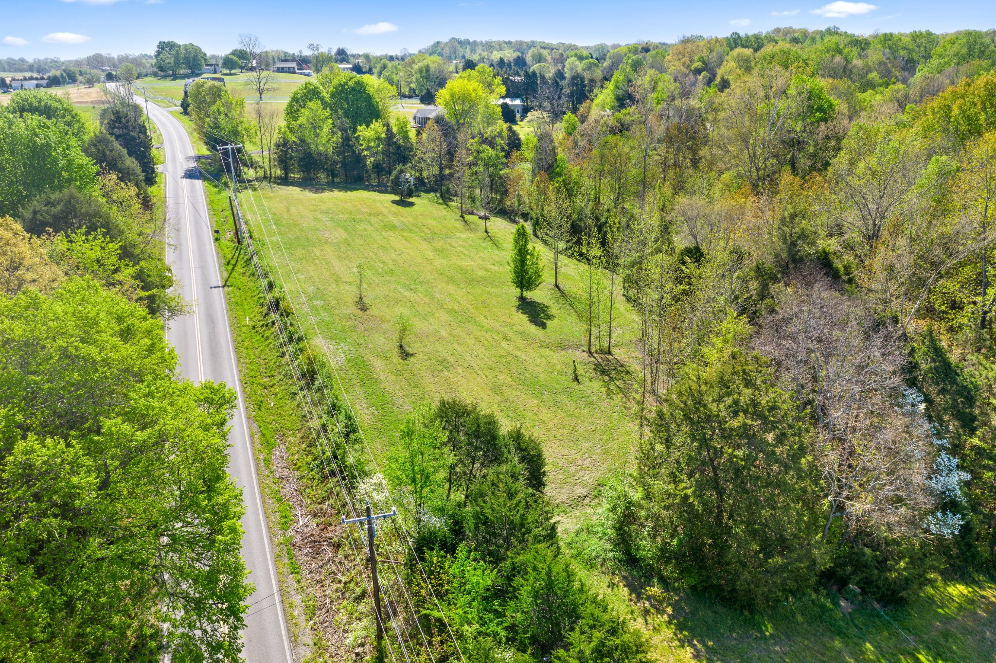 0 Trough Springs Road Adams, TN 37010 - Photo 14 of 16 Gallery Image 14