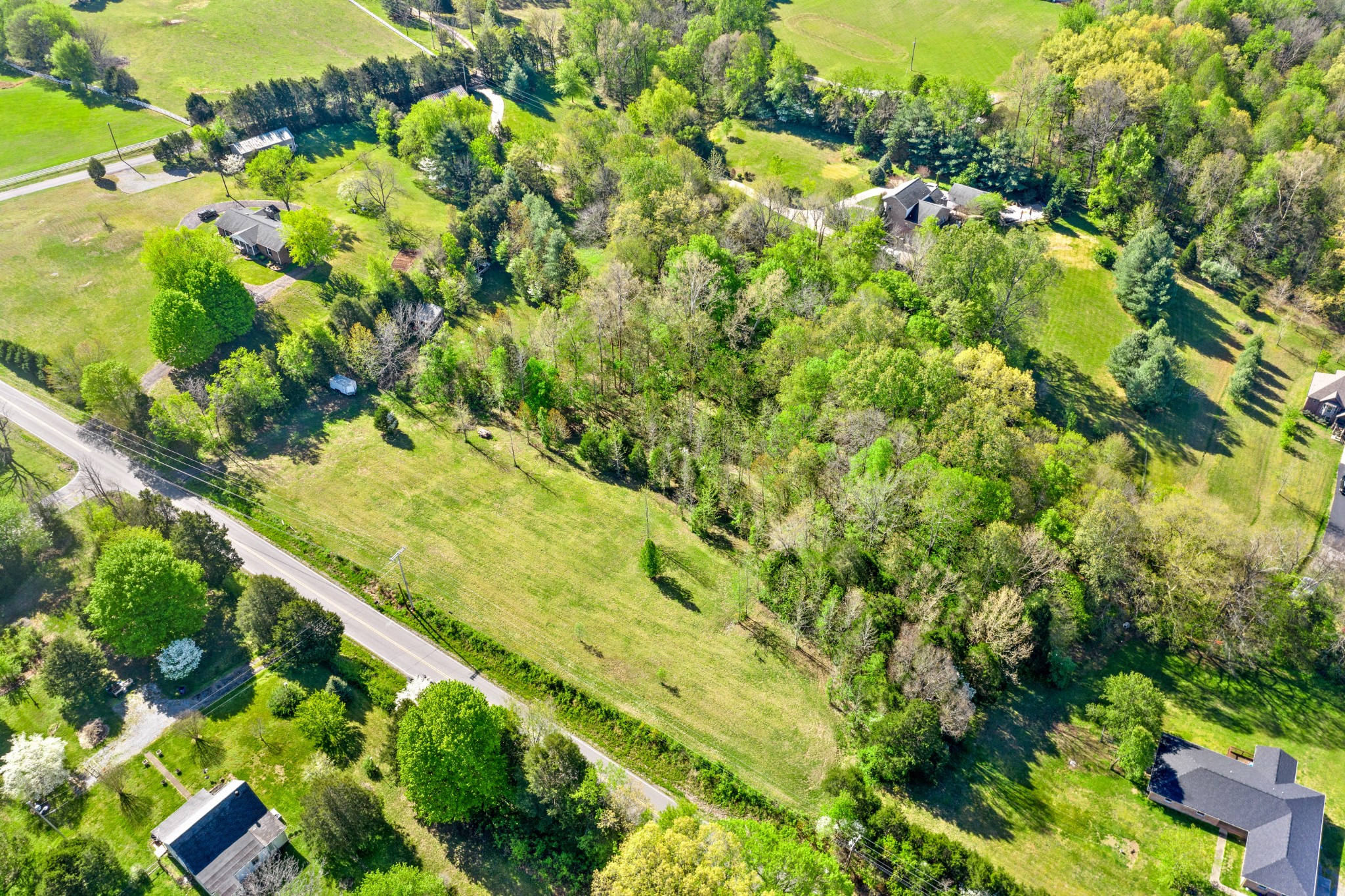0 Trough Springs Road Adams, TN 37010 - Photo 8 of 16 Gallery Image 8