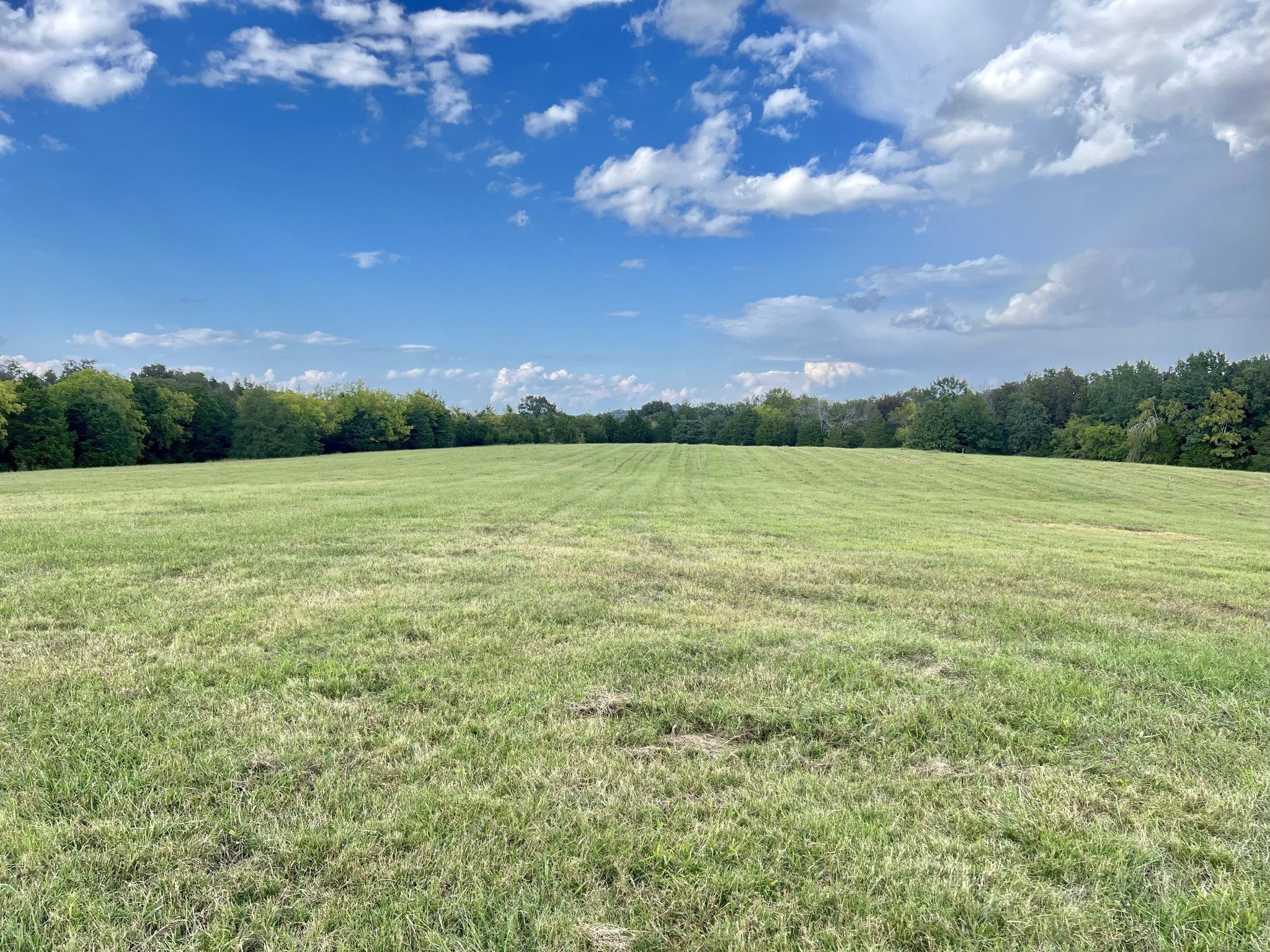 4840 Joe Peay Road Spring Hill, TN 37174 - Photo 29 of 45 Gallery Image 29