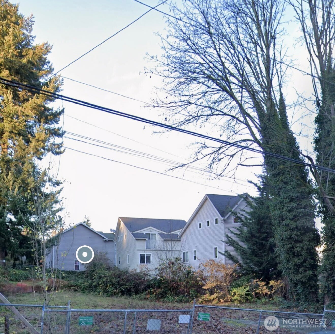 1724 North 107th Street Seattle, WA 98133 - Photo 1 of 1 a front view of a house with a yard and a large tree