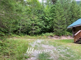 61791 Cascade River Road Marblemount, WA 98267 - Photo 3 of 9 Gallery Image 3