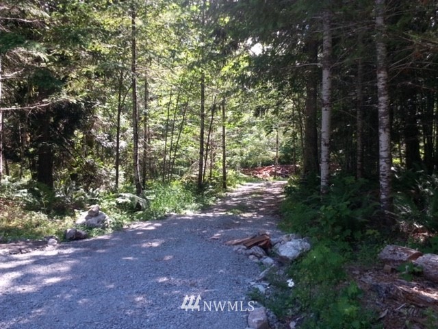 61791 Cascade River Road Marblemount, WA 98267 - Photo 4 of 9 Gallery Image 4