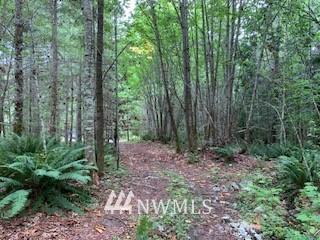61791 Cascade River Road Marblemount, WA 98267 - Photo 5 of 9 Gallery Image 5