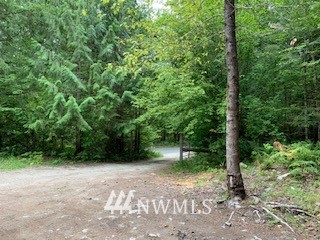 61791 Cascade River Road Marblemount, WA 98267 - Photo 6 of 9 Gallery Image 6
