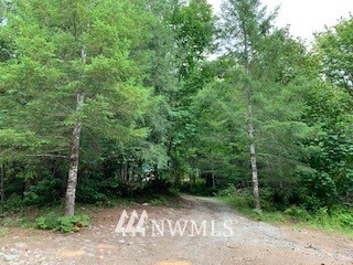 61791 Cascade River Road Marblemount, WA 98267 - Photo 7 of 9 Gallery Image 7