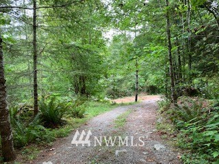 61791 Cascade River Road Marblemount, WA 98267 - Photo 8 of 9 Gallery Image 8