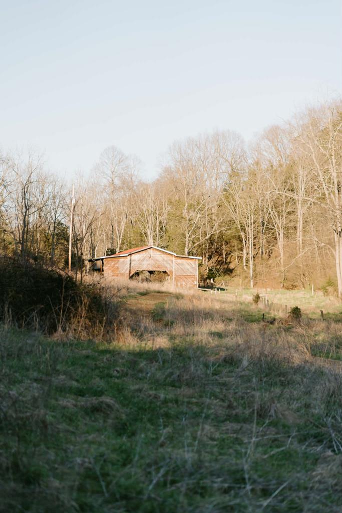 Tbd Romans Ridge Road Honaker, VA 24260 - Photo 11 of 33 Gallery Image 11