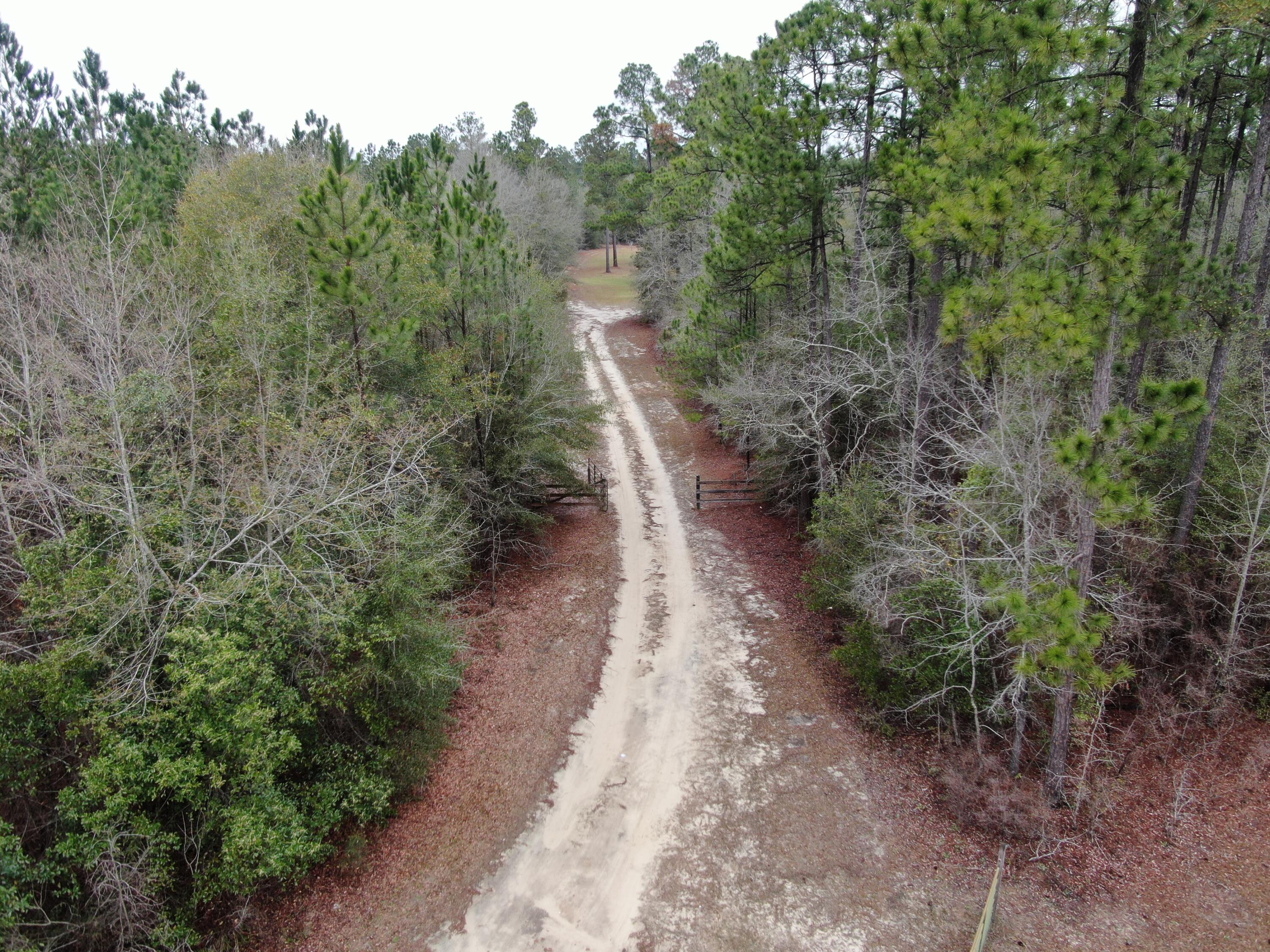 359 Nickletop Road Windsor, SC 29856 - Photo 30 of 33