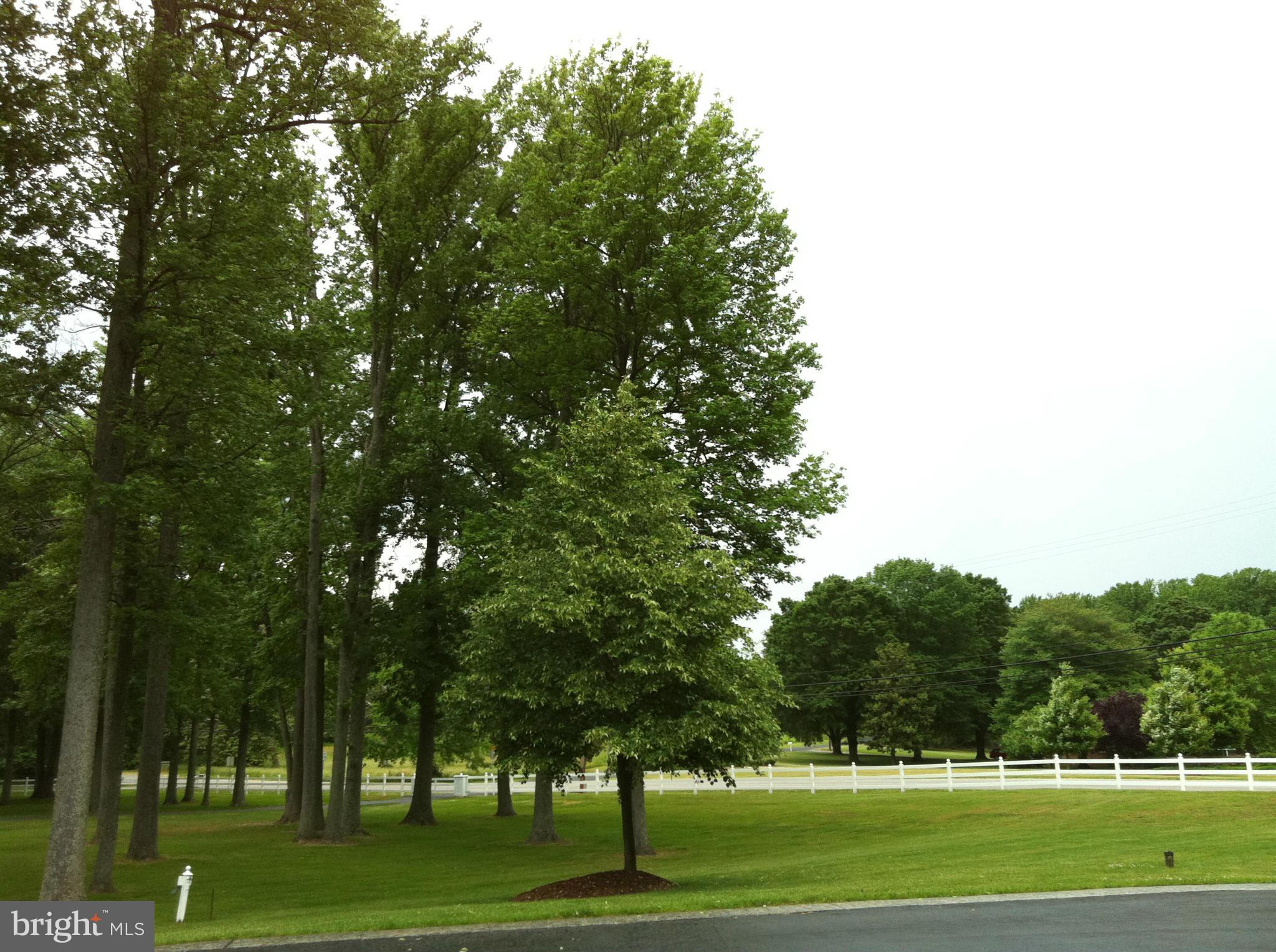 491 Ferry Point Road Annapolis, MD 21403 - Photo 29 of 30 a big yard with lots of green space