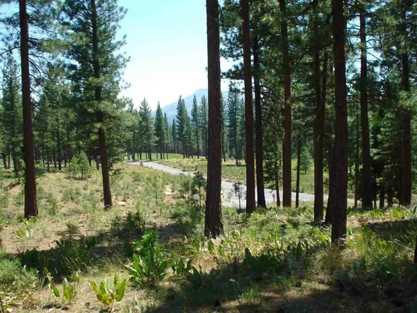 $19,000 | 69 Blacktail Ridge, Portola, CA 96122