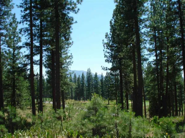 $19,000 | 69 Blacktail Ridge, Portola, CA 96122