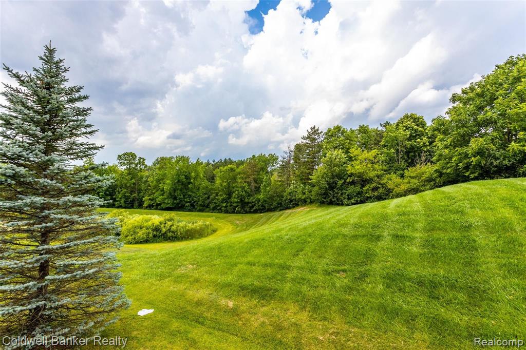 1551 Scio Ridge Road Ann Arbor, MI 48103 - Photo 39 of 44