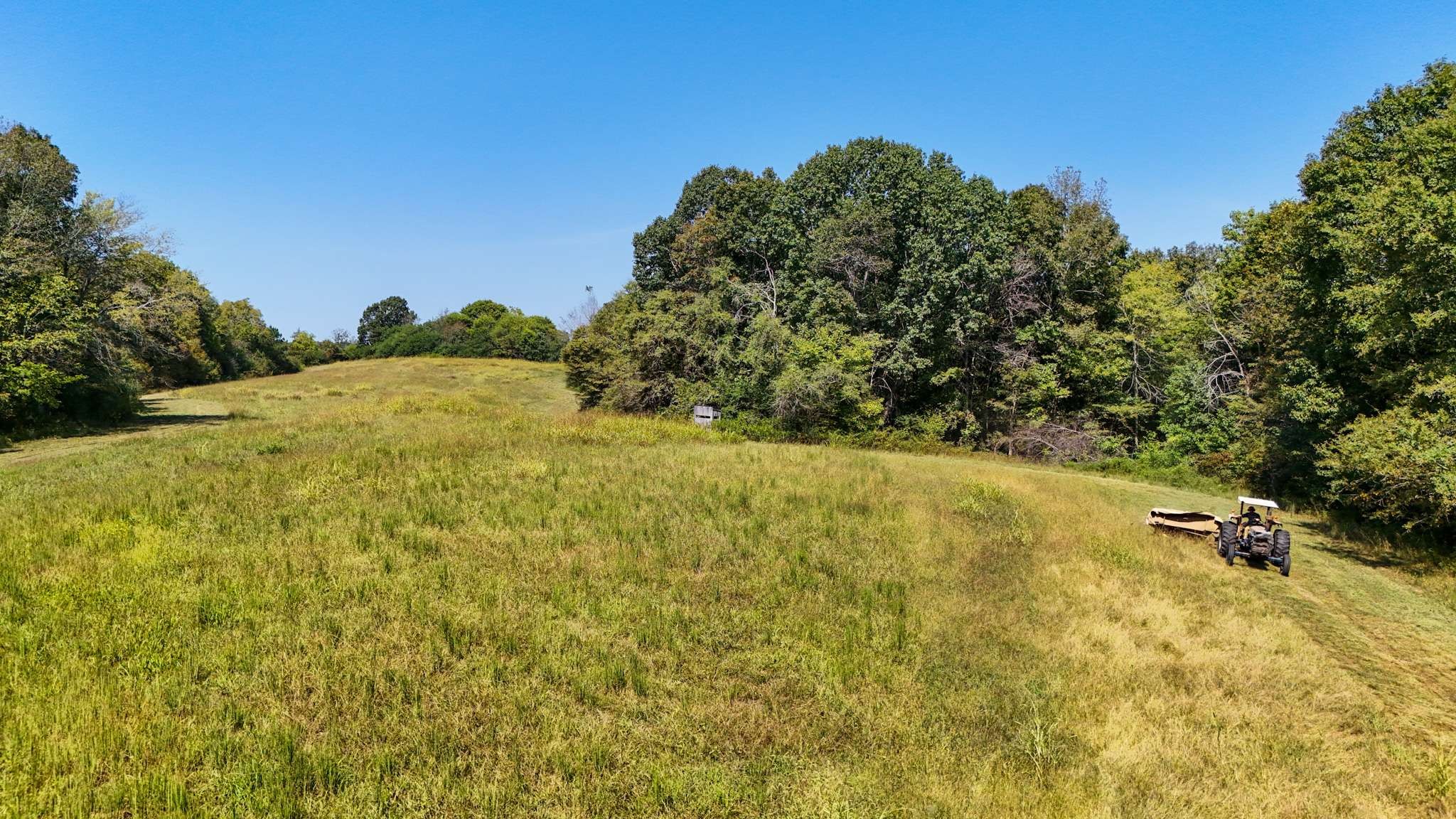437 South Ore Road Westpoint, TN 38486 - Photo 38 of 58 a view of outdoor space and yard
