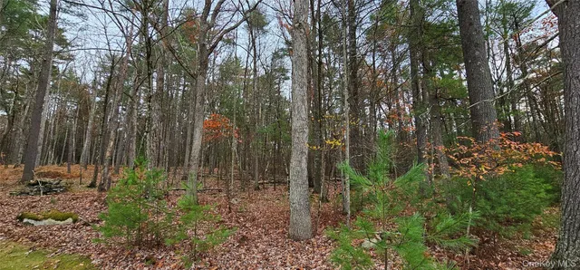 $284,900 | 191 Eldred-Yulan Road, Eldred, NY 12732