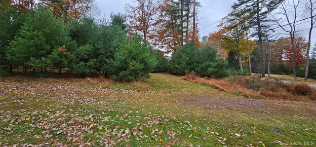 $284,900 | 191 Eldred-Yulan Road, Eldred, NY 12732