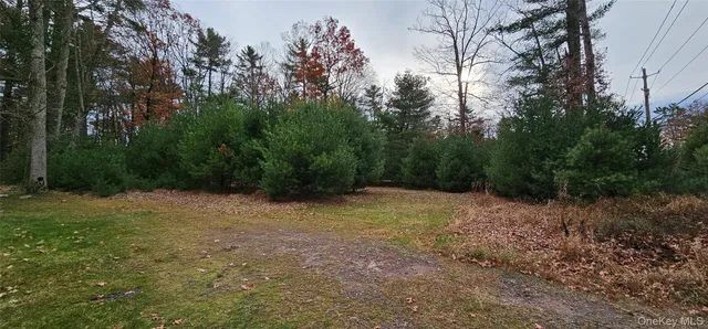 $284,900 | 191 Eldred-Yulan Road, Eldred, NY 12732