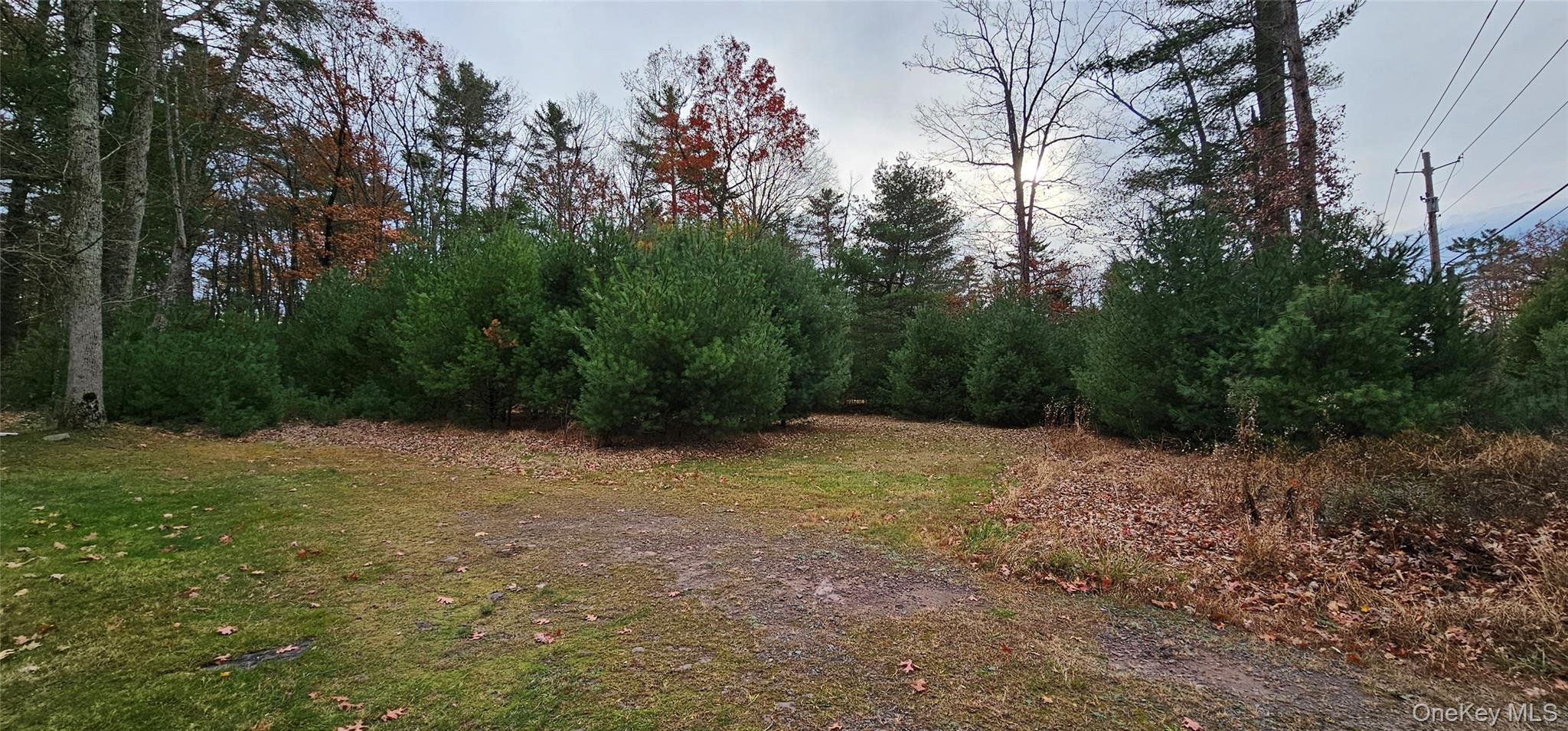 191 Eldred-Yulan Road Eldred, NY 12732 - Photo 33 of 34 a backyard of a house with lots of green space