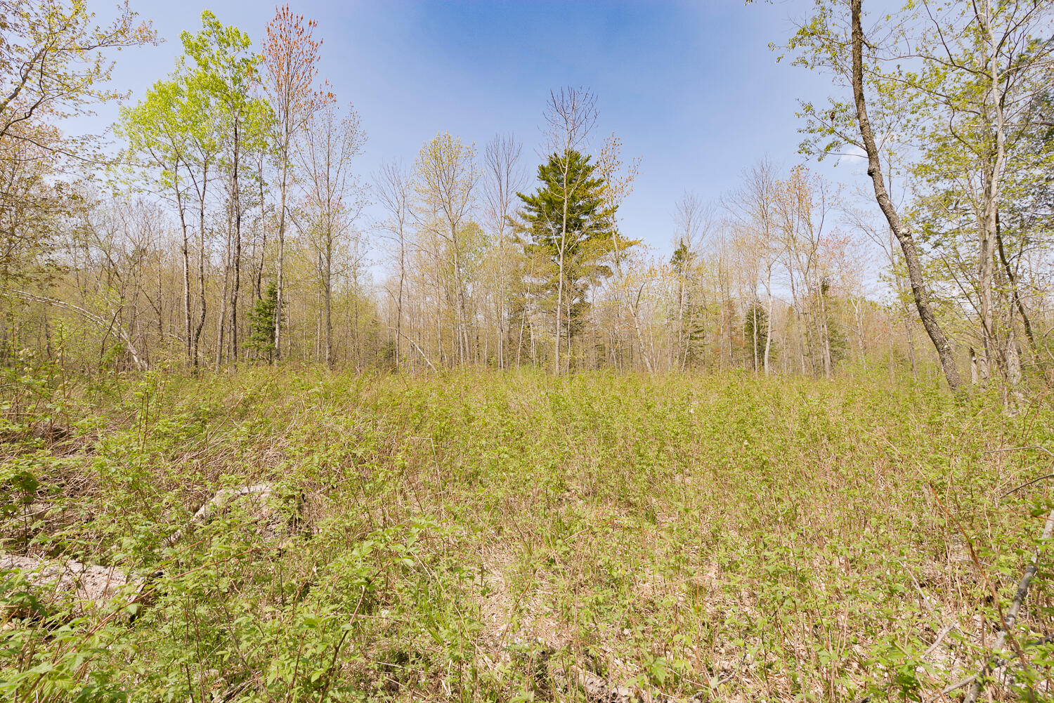 Lot 46-46a Bangor Road Clinton, ME 04927 - Photo 10 of 12 Land