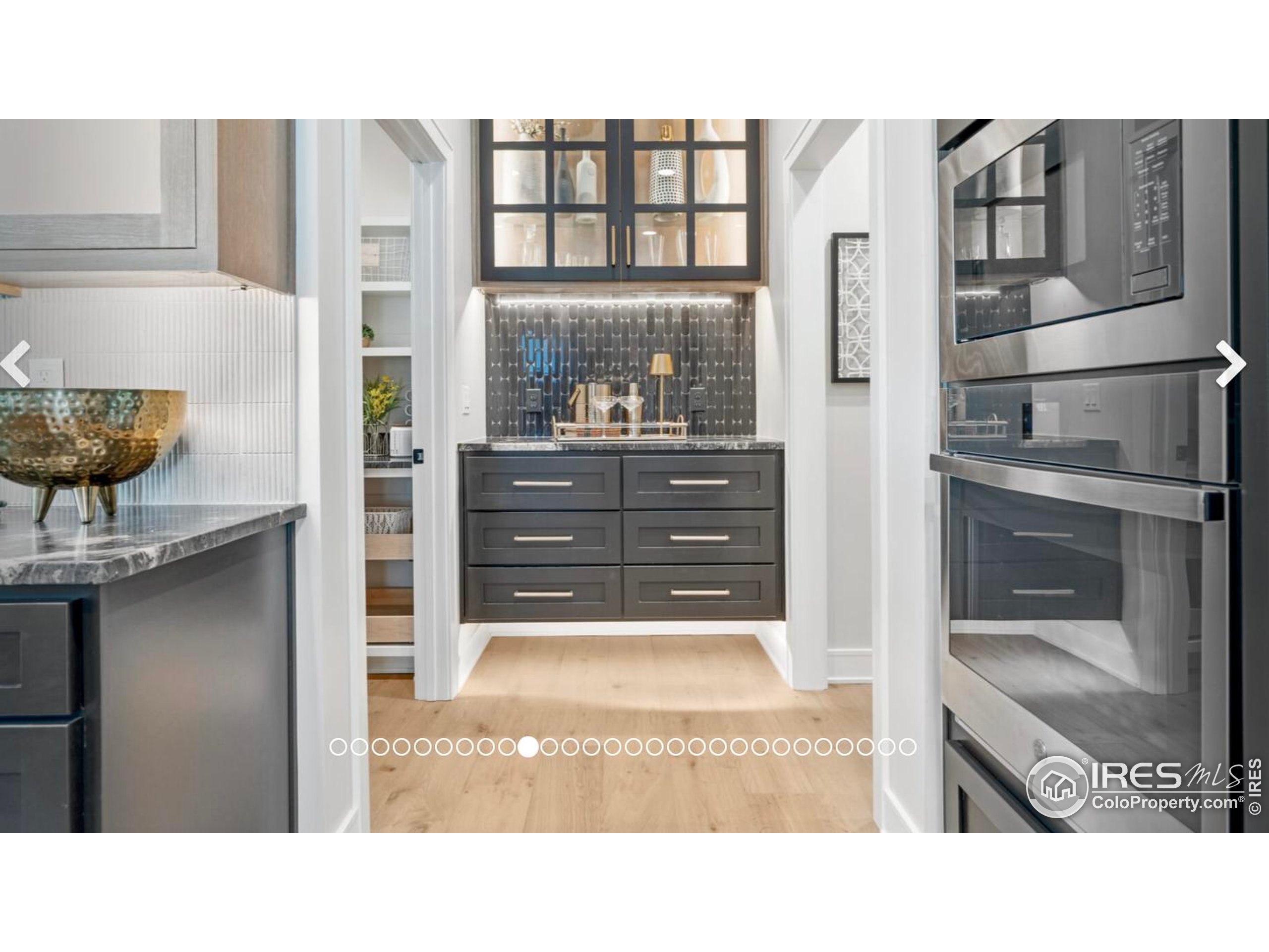 3806 Bridle Ridge Circle Severance, CO 80524 - Photo 5 of 13