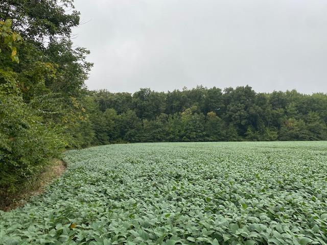 0 St Rt 123 Blanchester, OH 45107 - Photo 1 of 1