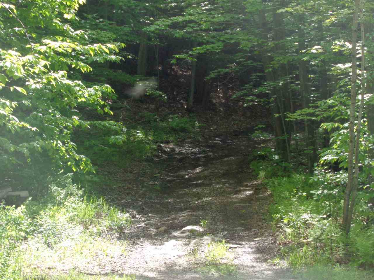 454 Potvin Road Newport Town, VT 05855 - Photo 34 of 39 Gallery Image 34